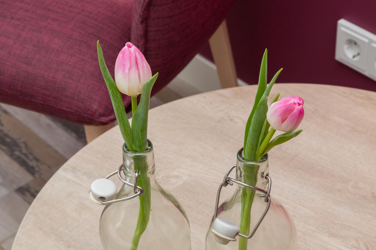 Welcome In - De Grote Geere Comfort Appartementen - Huisdier Toegestaan Осткапелле Екстер'єр фото